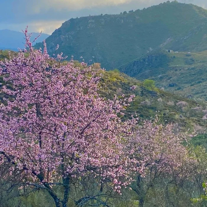 La Casa del Bandolero - Imagen 7