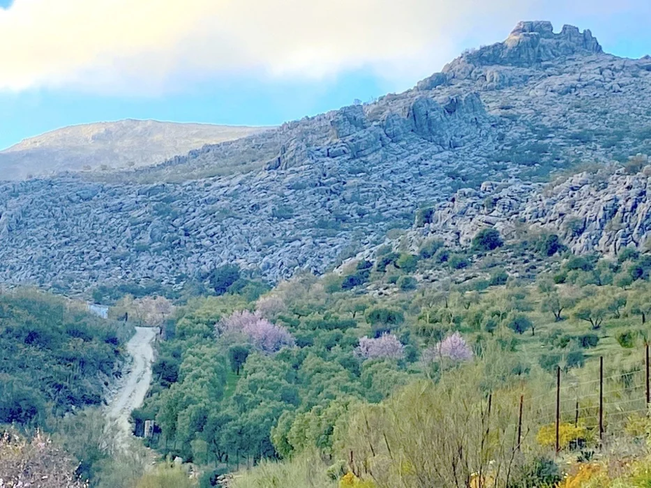 La Casa del Bandolero - Imagen 6