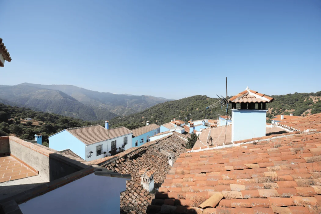 Ser propietario – paisaje y tejado