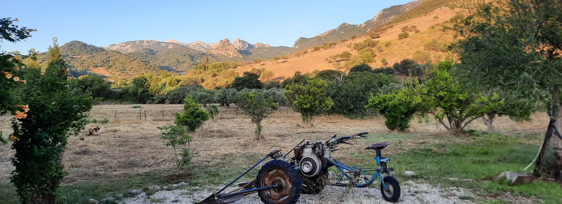 Casa Rural Huerta la Terrona - Imagen 10